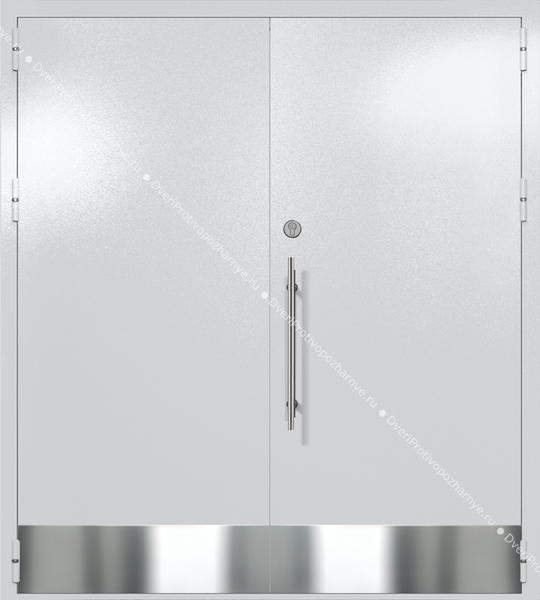Двупольная глухая техническая дверь с отбойниками (цвет светло-серый RAL 7047) Двупольная глухая техническая дверь с отбойниками (цвет светло-серый RAL 7047)