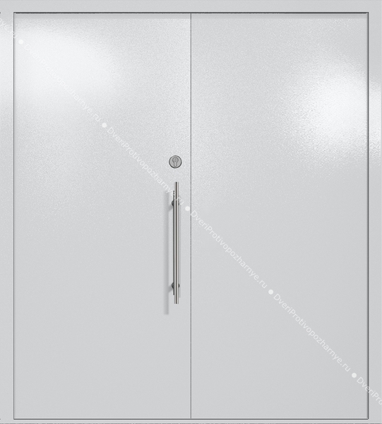 Двупольная глухая техническая дверь (цвет светло-серый RAL 7047)