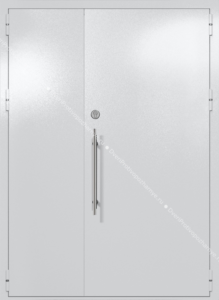 Полуторапольная глухая техническая дверь (цвет светло-серый RAL 7047)
